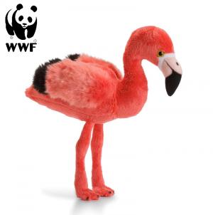 Flamingo - WWF (Världsnaturfonden)